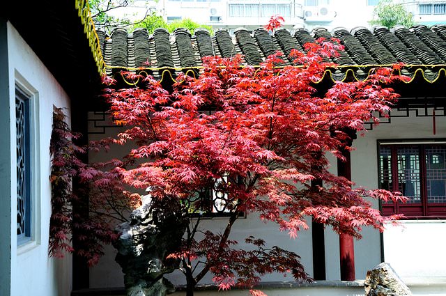 上海著名古建筑旅游景点古猗园介绍  第8张